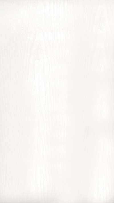 0120-1.0001-1260-120 White Ash